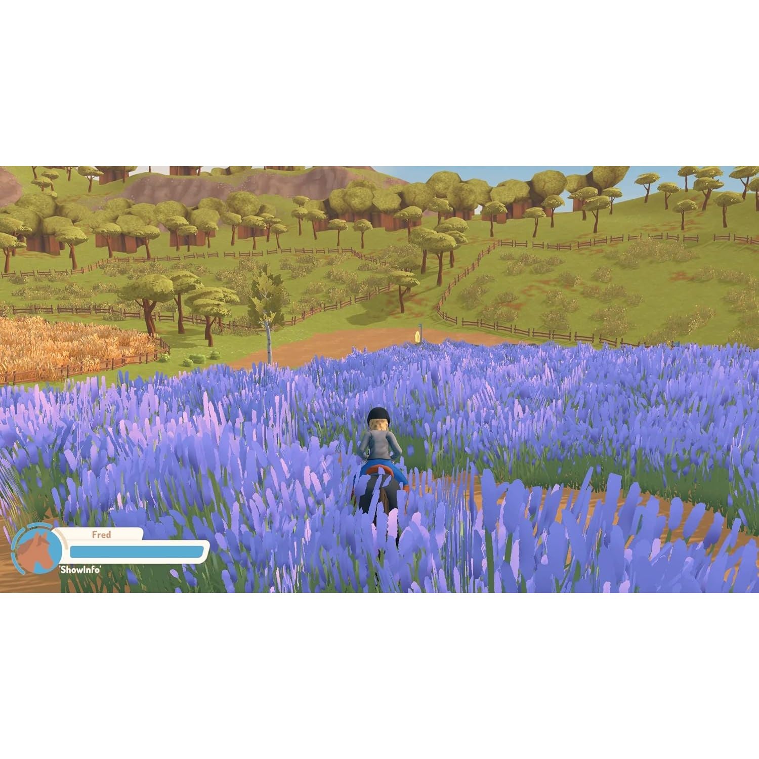 Buy PlayStation,My Life: Riding Stables 3 - PS4 Game - Gadcet UK | UK | London | Scotland | Wales| Near Me | Cheap | Pay In 3 | Video Game Software